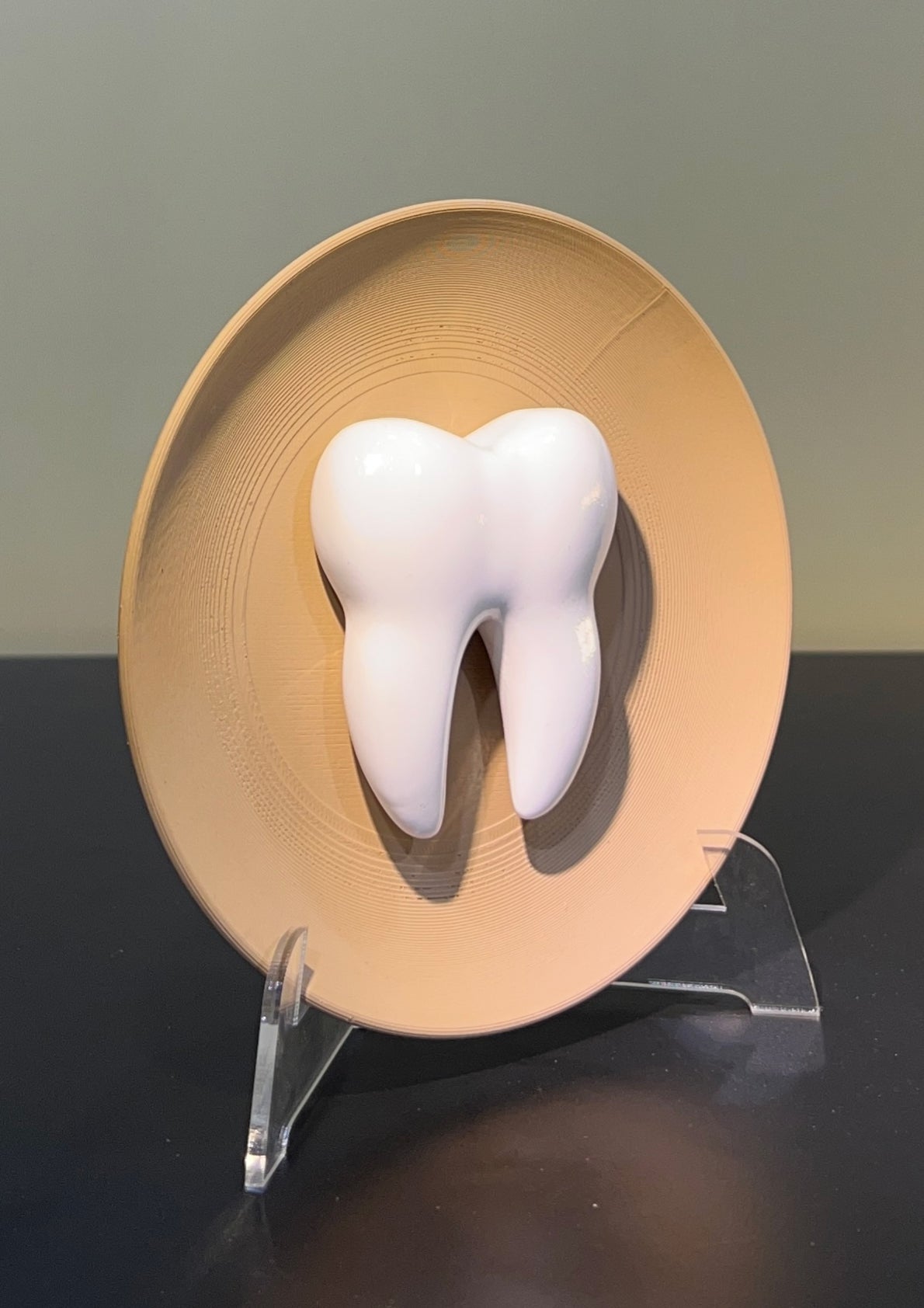 Molar Muse