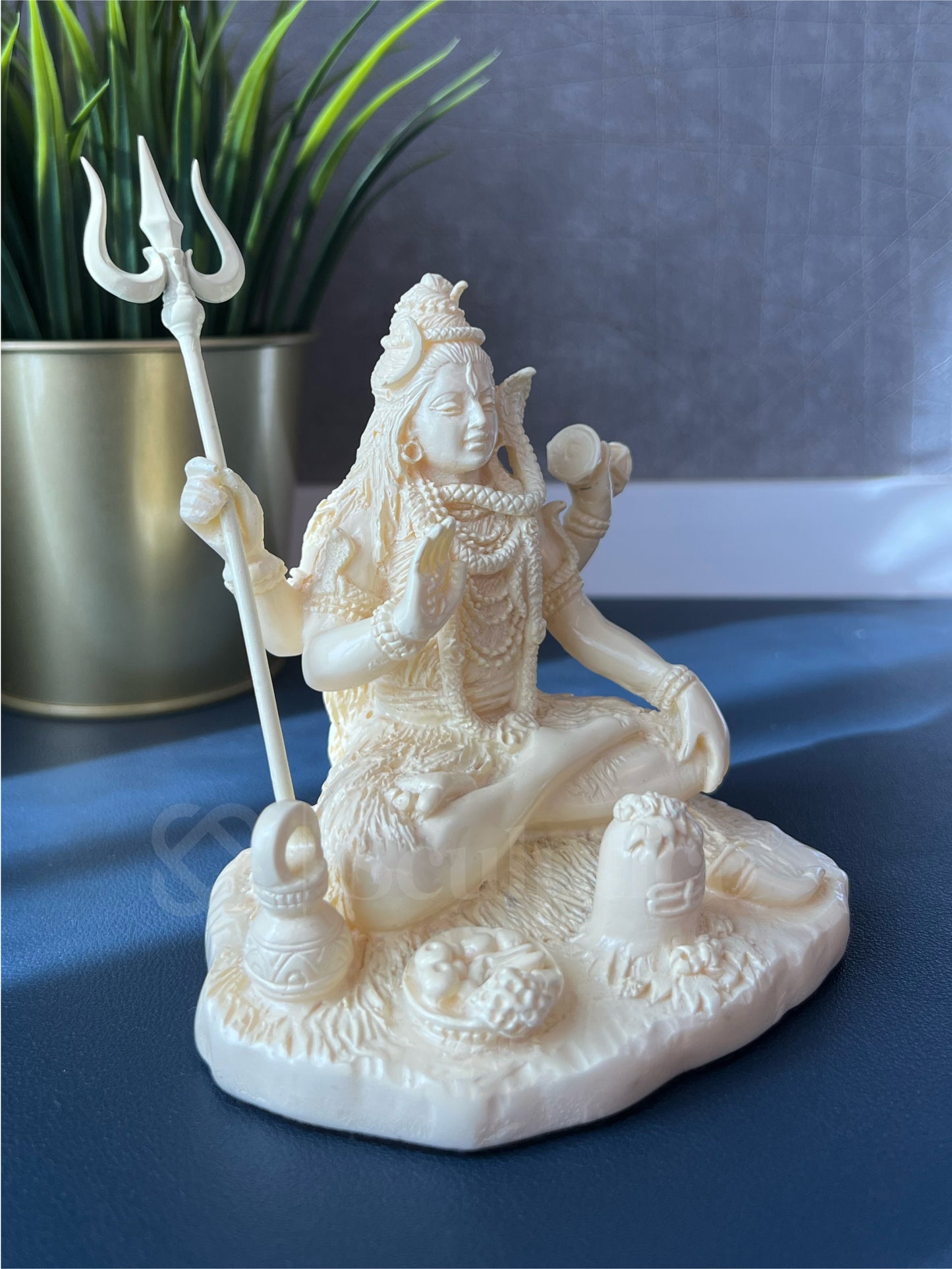 Shiva - The Lord of Yogis