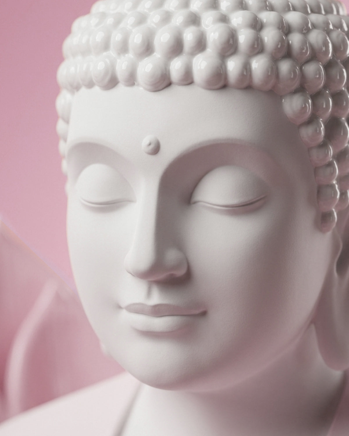 Buddha: The Bloom of Enlightenment