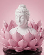 Buddha: The Bloom of Enlightenment