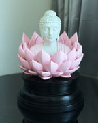 Buddha: The Bloom of Enlightenment