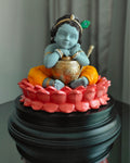 Bal Krishna: The Joy of Vrindavan