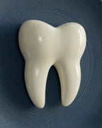 Molar Muse