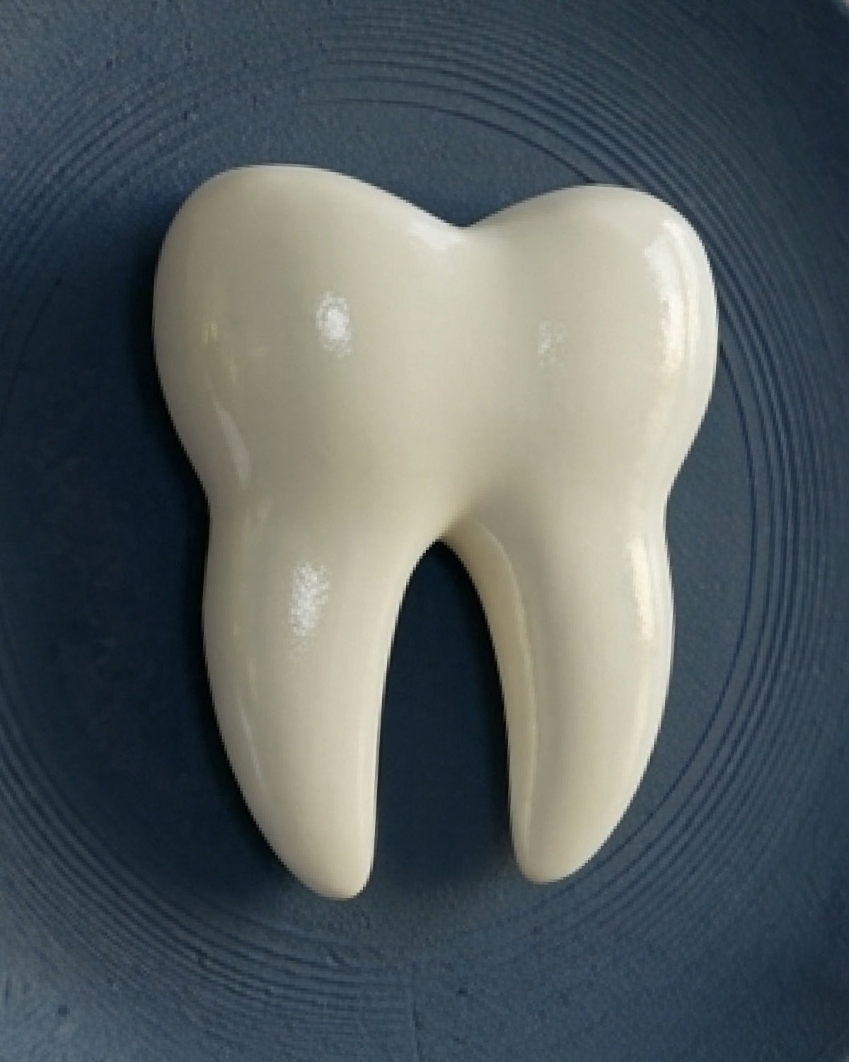 Molar Muse