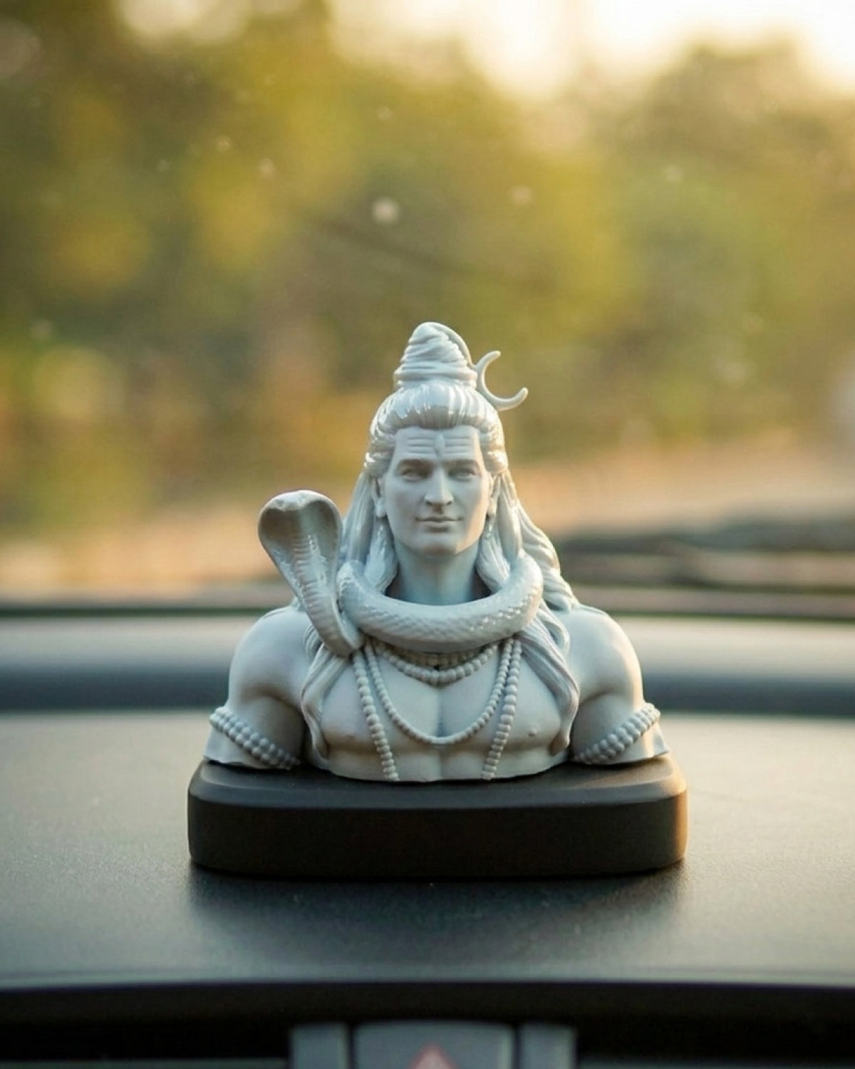 Mystic Shiva