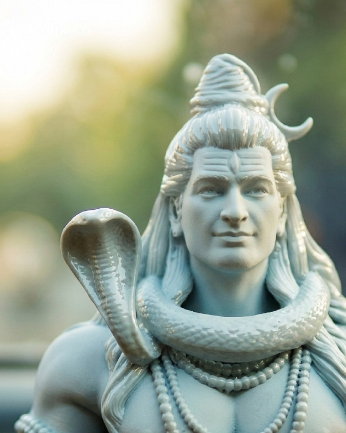 Mystic Shiva