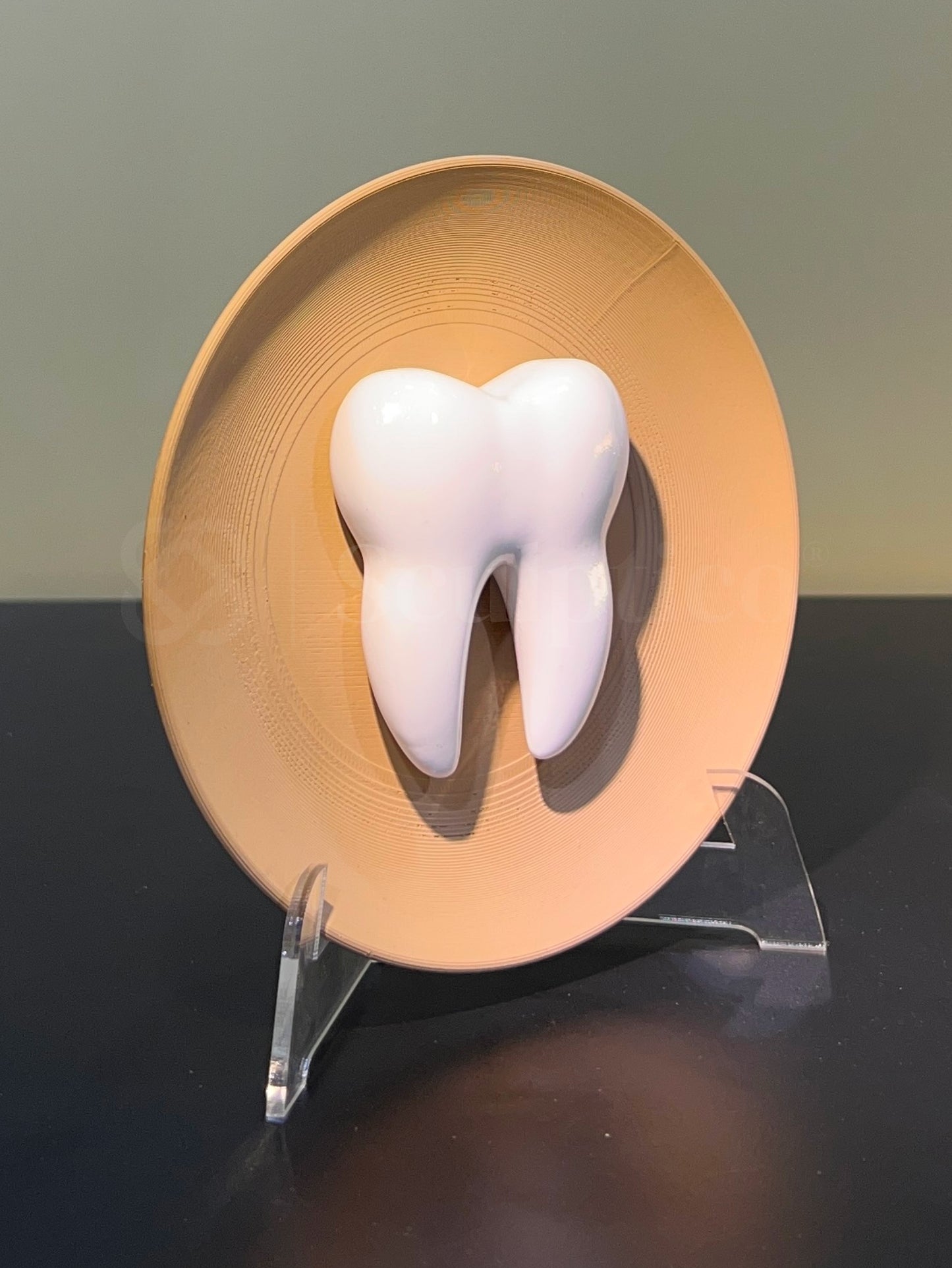 Molar Muse