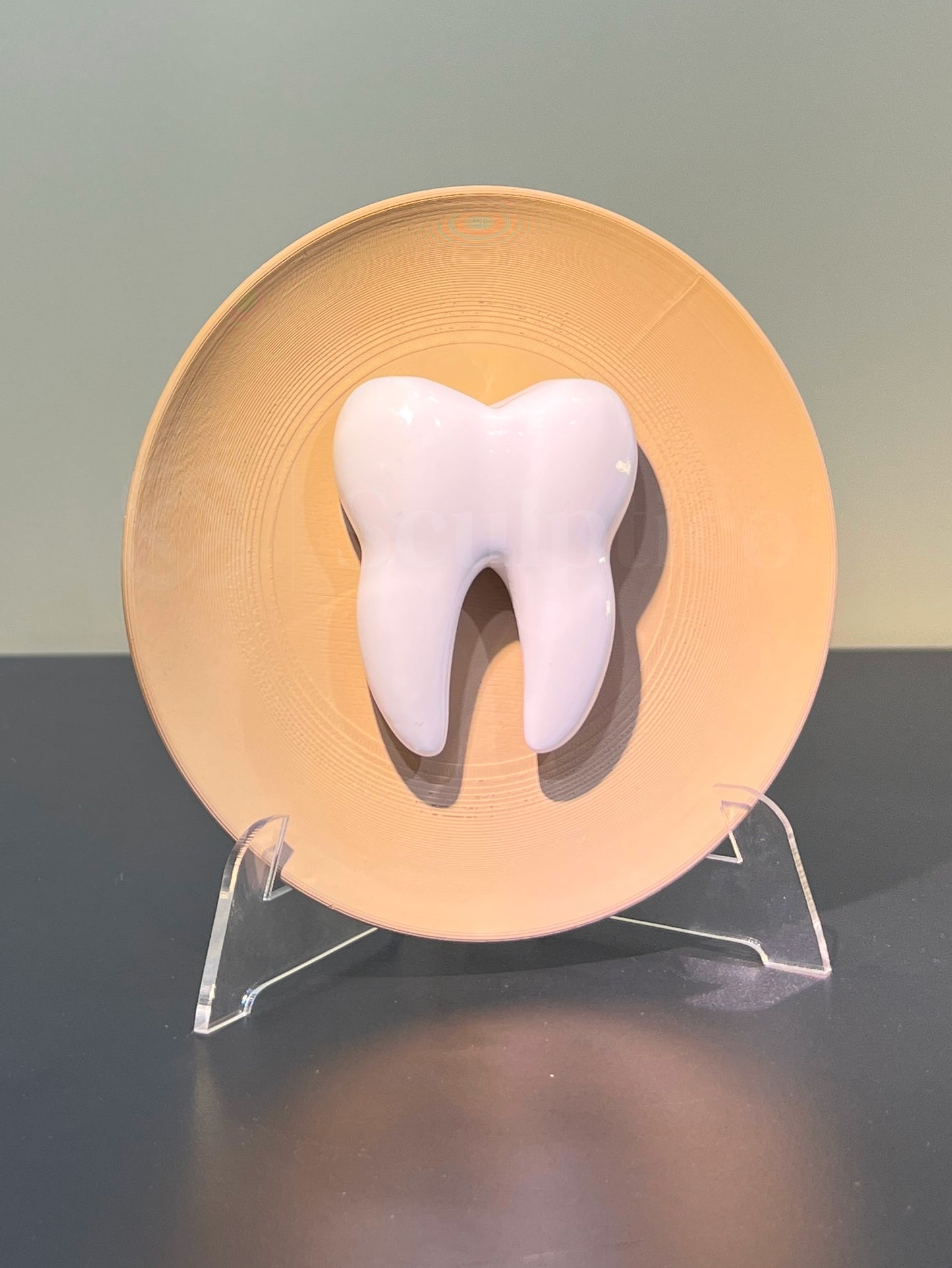 Molar Muse