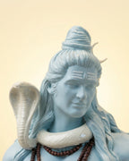 Shiva & Nandi
