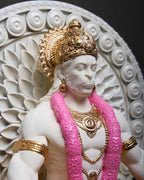 Hanuman - The Supreme Protector