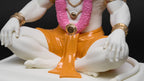 Hanuman - The Supreme Protector