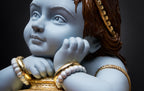 Bal Krishna: The Joy of Vrindavan