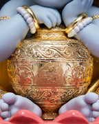 Bal Krishna: The Joy of Vrindavan