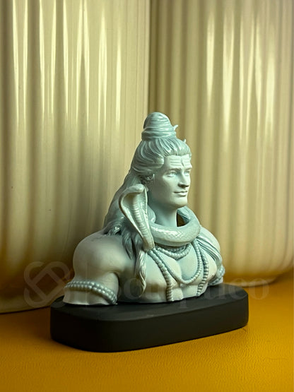 Mystic Shiva